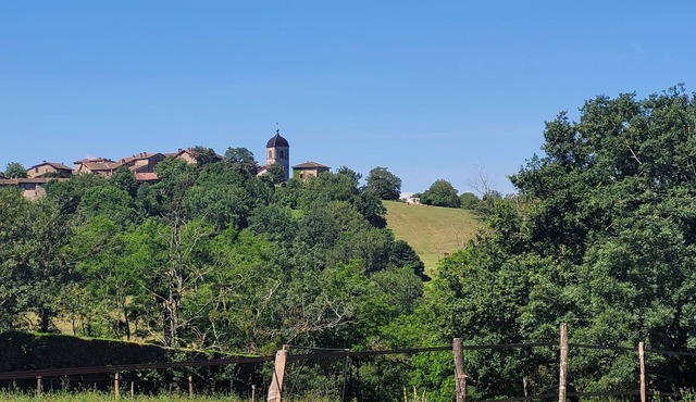 Beautiful apartment with terrace, facing Pérouges, quiet, close to center
