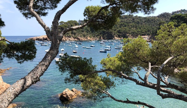 Beautiful Apartment with Sea Views and the Port of Fornells