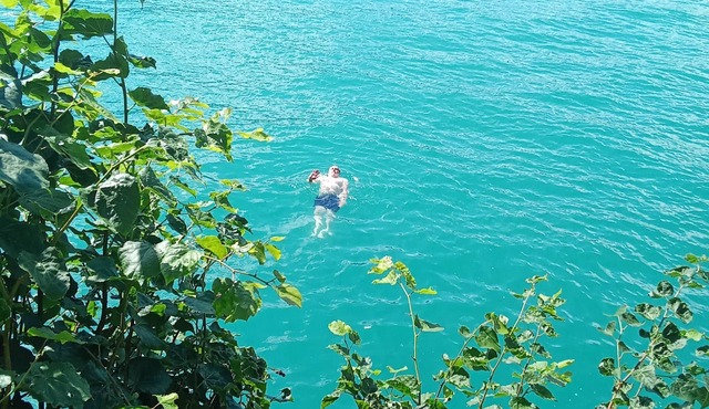 Beautiful apartment with garden between lake and mountain