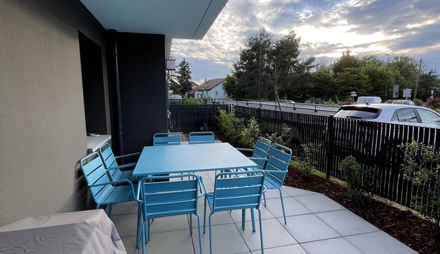 Beautiful apartment with terrace near Lake Geneva