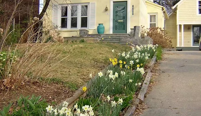 Beautiful apt. in Historic Takoma