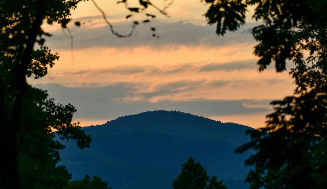 "Beautiful Asheville Mountainside Cabin Between 2 Streams: Porch,Trail&HotTub!