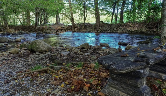 Beautiful Authentic Log Cabin on Cosby Creek