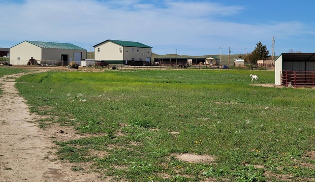 Beautiful barndiminiom Ranch Double Queen- Experiences and Activities available