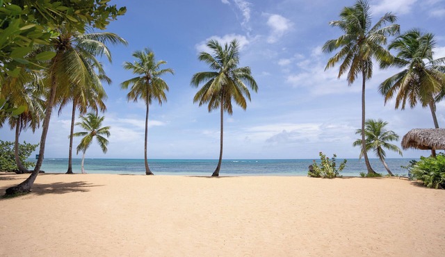 Beautiful Beach Condo vacation rental in Las Terrenas in Balcones del Atlántico.