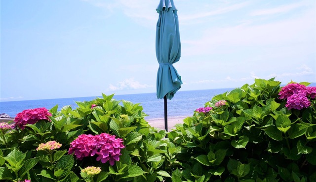 Beautiful Beachfront Cottage Leading Directly To Your Own Sandy Beach