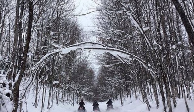Beautiful Black Mountain Recreational Area Vacation Rental Cheboygan, MI