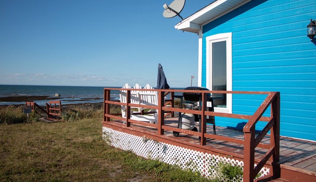 Beautiful blue chalet by the sea, quiet and elegant. It will charm you thanks to