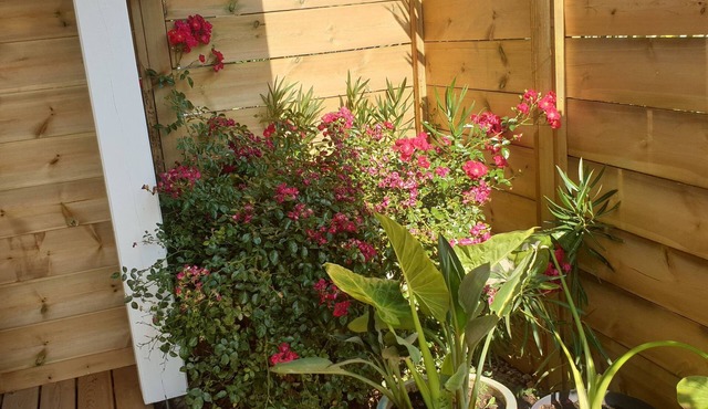 BEAUTIFUL BRAND-NEW STUDIO APARTMENT