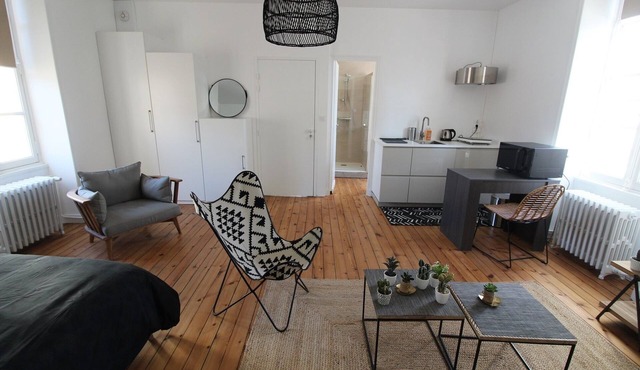 Beautiful bright apartment, super center La Roche sur Yon