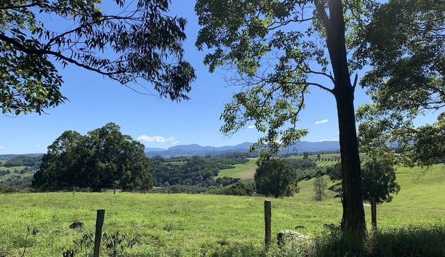 Beautiful Byron Hinterland.1 bedroom open plan cabin sleeps 4.