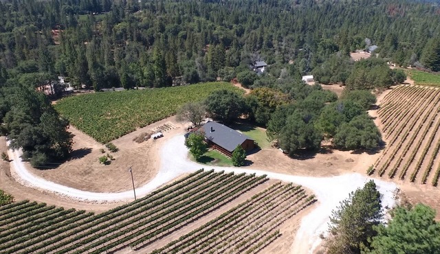 Beautiful Cabin at V5 Vineyards