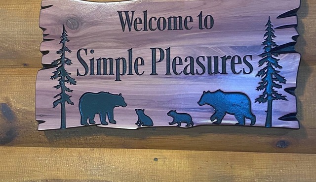 Beautiful Cabin close to popular sites, no steep roads or stairs.