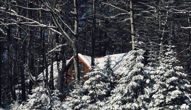 Beautiful Cabin for an affordable Getaway!