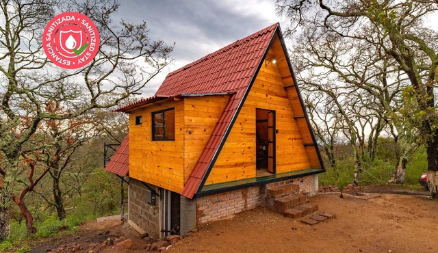 Beautiful Cabin in the woods l Pet Friendly l Bbq