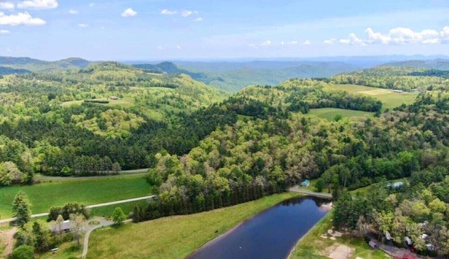 Beautiful Cabin in the Heart of Blue Ridge Parkway