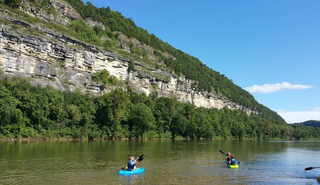 Beautiful cabin style home backing up on the White River!