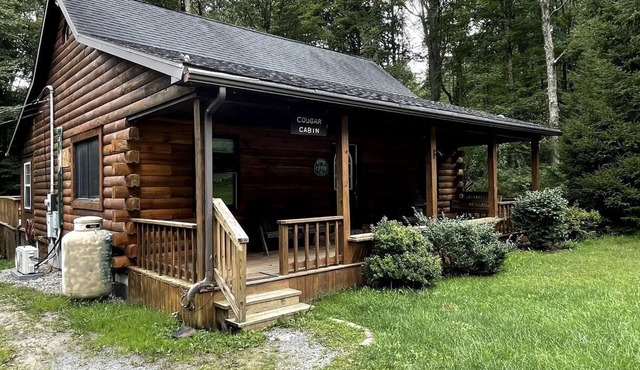 Beautiful Cabin with Fire Pit and Hot Tub in Bruceton Mills, West Virinia