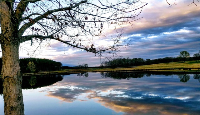 Beautiful Cabin with scenic views for Corporate Events & Family Vacations