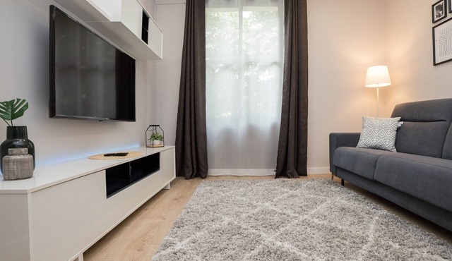 Beautiful central apartment, renovated, near Laurel and Espolon, cathedral view, free WIFI