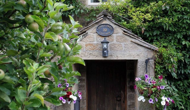 Beautiful characterful cottage,family and dog friendly,quiet,close to amenities