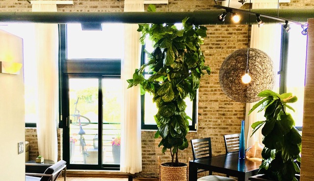 Beautiful & Chic Loft on the River! Excellent location & has everything you need