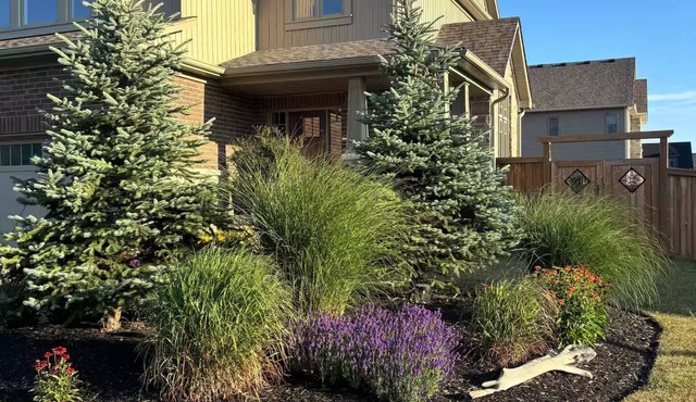 Beautiful Collingwood home!