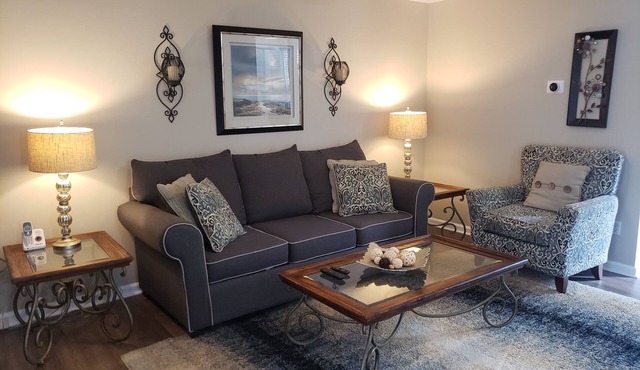 Beautiful Condo in South Charlotte and Ballantyne Area