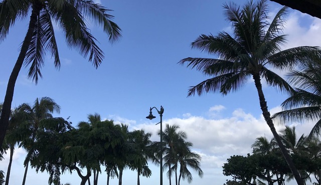 Beautiful Condo in the heart Diamond Head Honolulu, HI