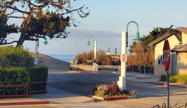 Beautiful Condo Steps to the Beach! Ocean View! First Floor Unit 1