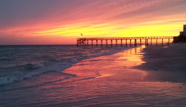 Beautiful Condo on Miles of White Sand Beach. Watch Dolphins from your bedroom!