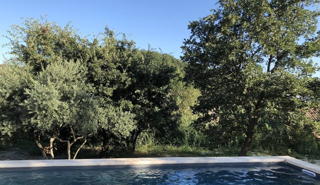 Beautiful contemporary house, swimming pool, terrace and large garden