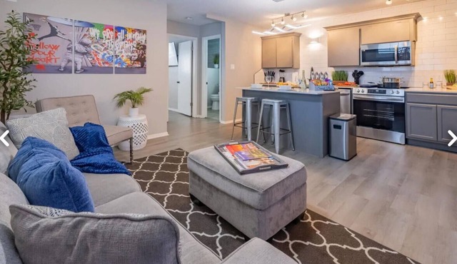 Beautiful Contemporary Suite #07