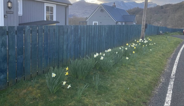 Beautiful Cosy Highland Argyll Home Log Burner Mountain and River Views