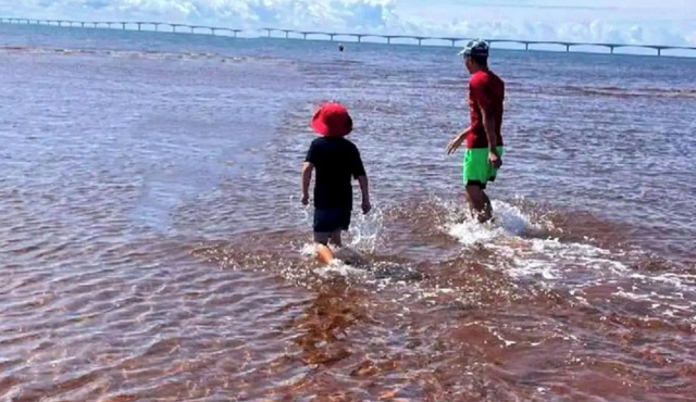 Beautiful Cottage Style Home, minutes from beach.