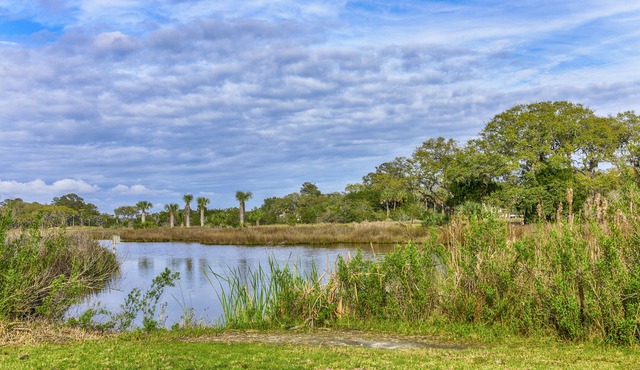 Beautiful Cottage! Screened Porch w/Water Views! Perfect Location! Amenity access included! No pets