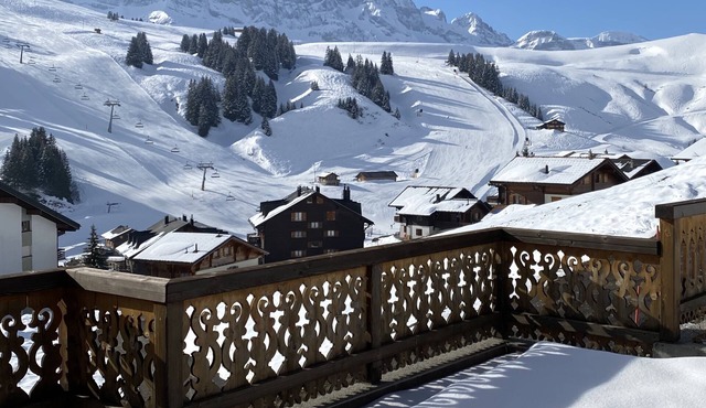 Beautiful cottage with views of the Dents du Midi