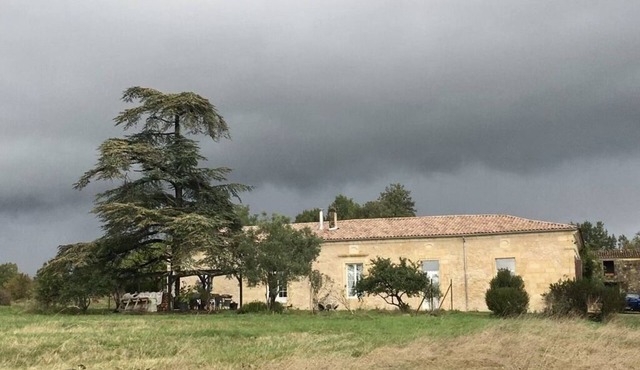 Beautiful cottage in wine estate