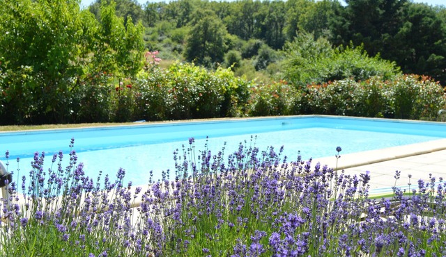 Beautiful cottage near Sarlat at the crossroads of Lot and Corrèze