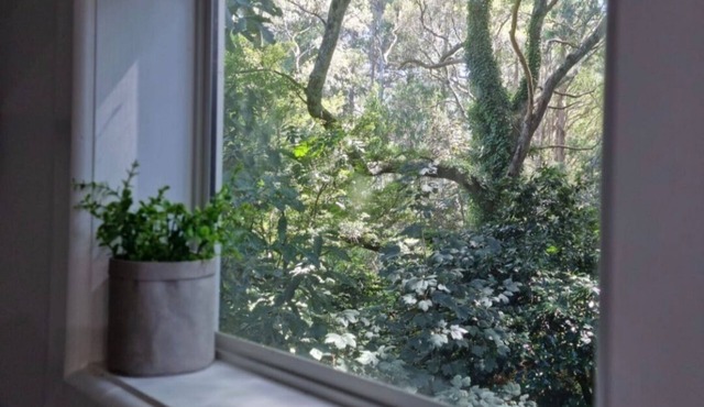 Beautiful Cottage nestled in the majestic Dandenong Ranges.