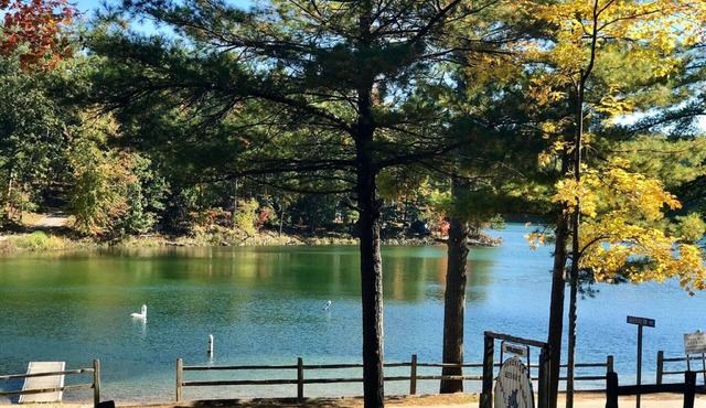Beautiful Cottage on Arbutus Lake, Traverse City, MI 49696