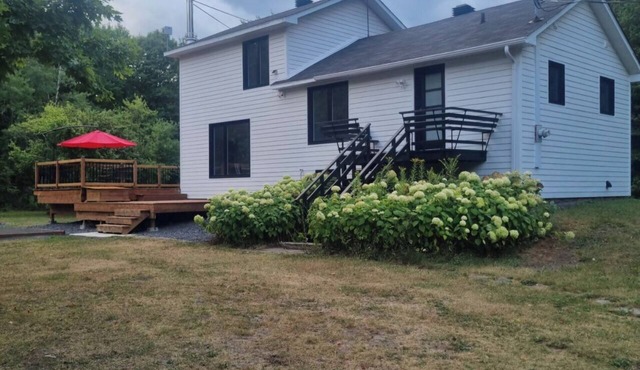 Beautiful country house in the woods