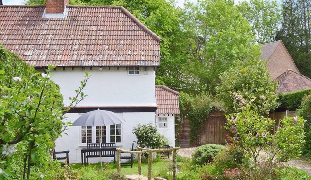 Beautiful Country Cottage in Burley - the Heart of the New Forest National Park