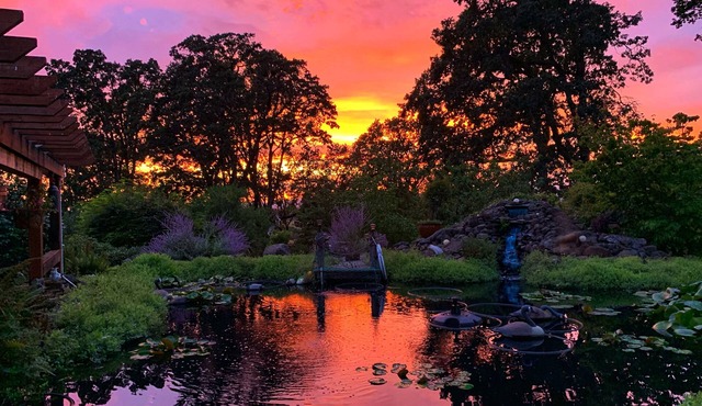 Beautiful Country Cottage In The Middle Of Wine Country