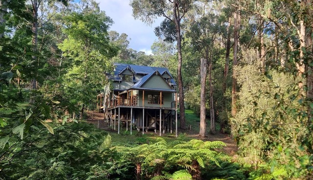 Beautiful country property in native bush less than an hour from Melbourne.