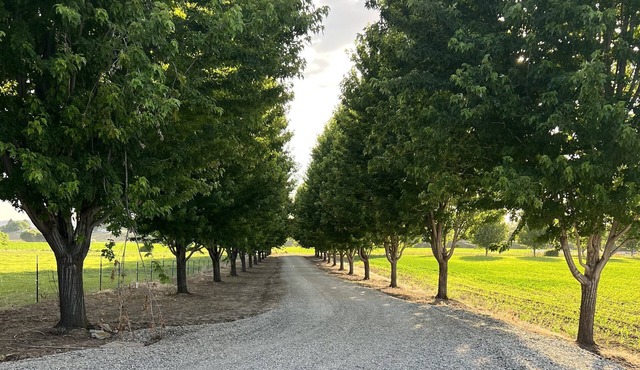 Beautiful Country & Ranch setting with room to relax