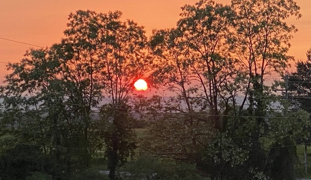 Beautiful Country Ranch 2bed 1bath SunnyViews 2