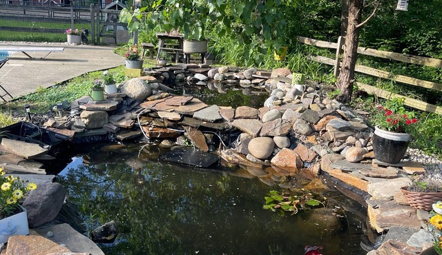 Beautiful Country Setting on a small horse farm