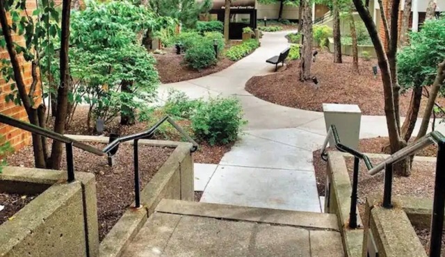 BEAUTIFUL COZY APARTMENT