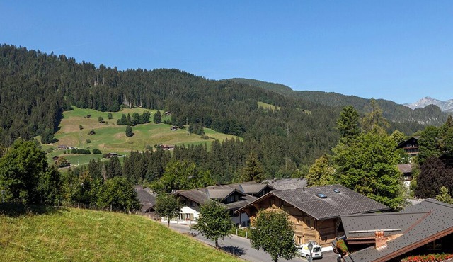 BEAUTIFUL COZY APARTMENT IN GSTAAD